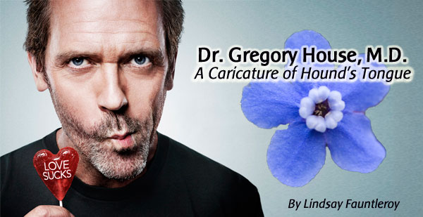 house-houndstongue