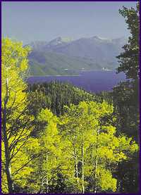 Tahoe View
