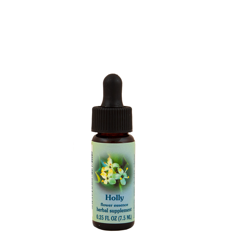 Holly