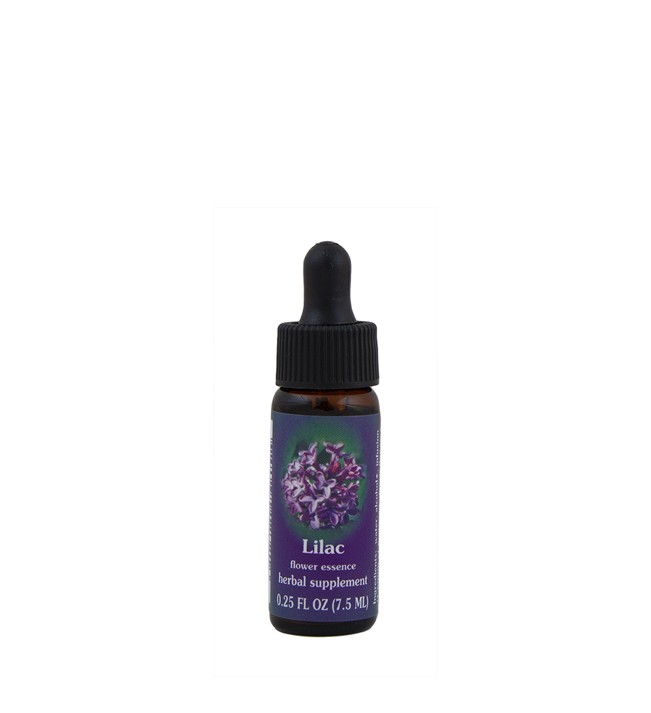 Lilac