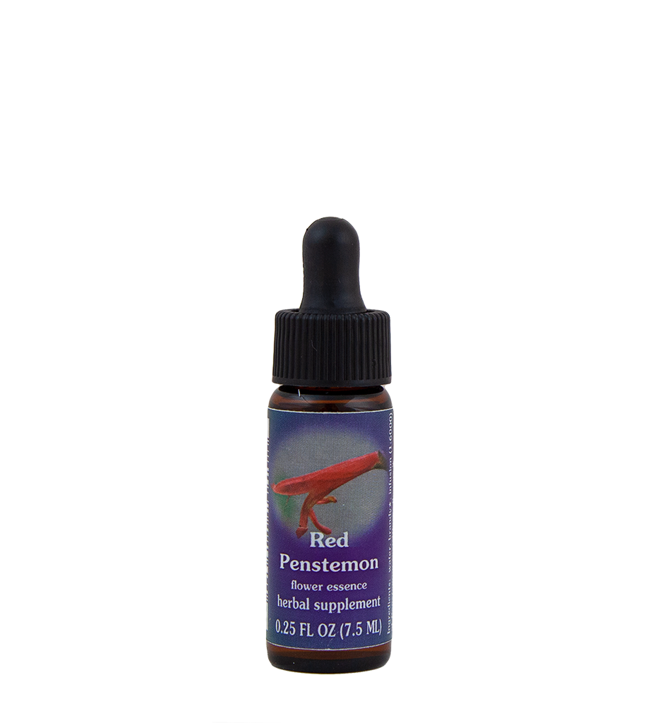 Red Penstemon