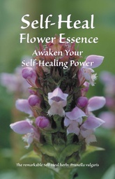 [SHE] Self Heal Essence Brochure