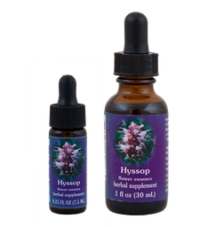 Hyssop