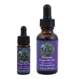 Mountain Forget-Me-Not