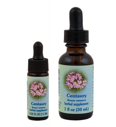 Centaury