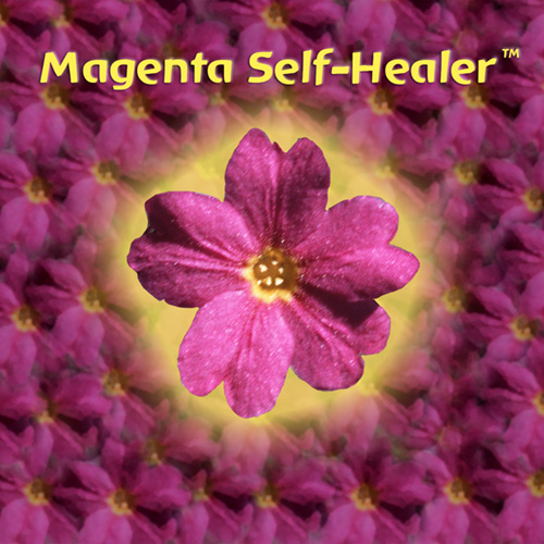 Magenta Self-Healer