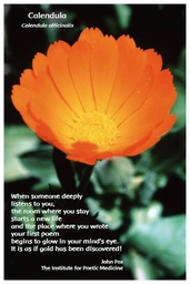 [FPCAL] Flower Photo Print - Calendula