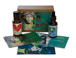 [HDG] Holly-Day Gift Set